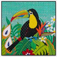 Toucan